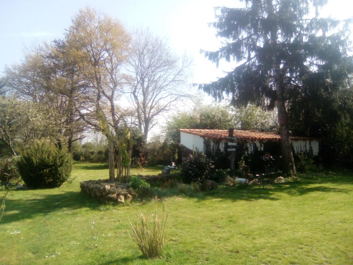 Mas Des Vignes Piscine Chauffee Bed & Breakfast Le Champ-Saint-Pere Eksteriør bilde
