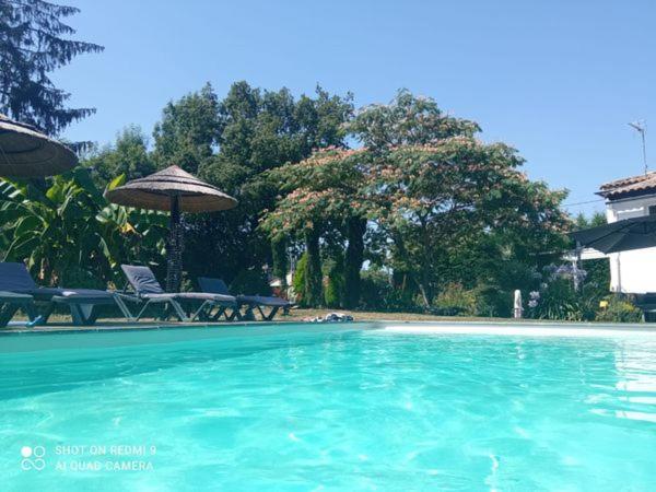 Mas Des Vignes Piscine Chauffee Bed & Breakfast Le Champ-Saint-Pere Eksteriør bilde