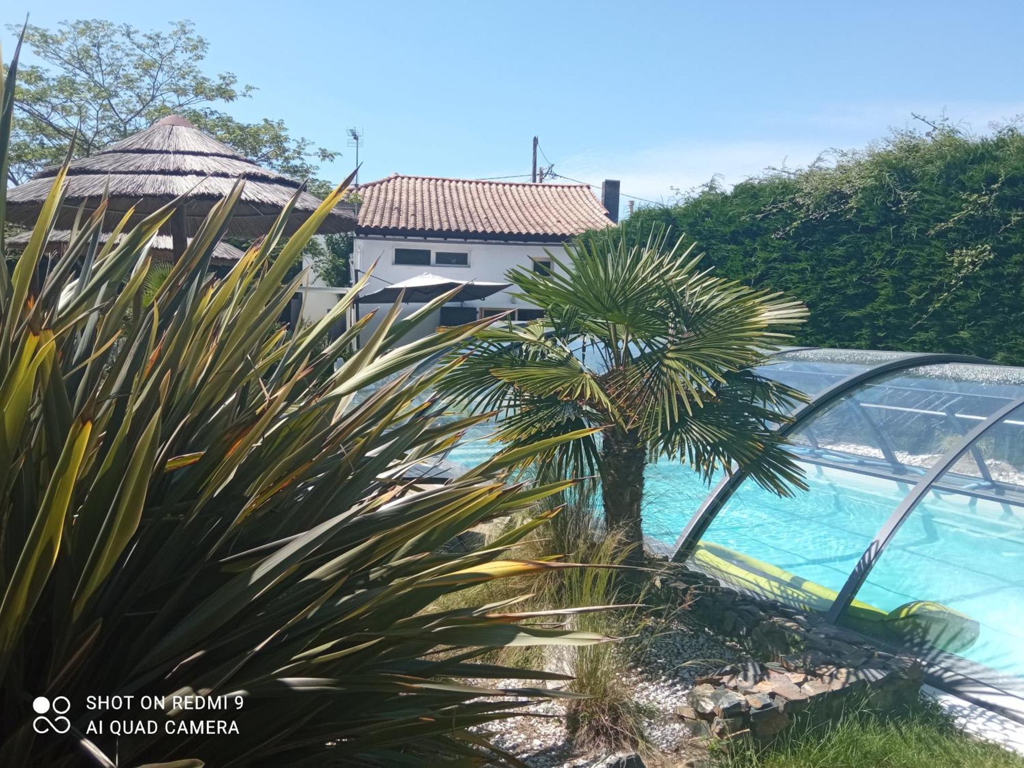Mas Des Vignes Piscine Chauffee Bed & Breakfast Le Champ-Saint-Pere Eksteriør bilde